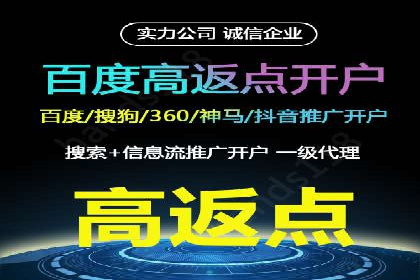 搜索引擎广告（SEM）在本地化推广中的运用案例